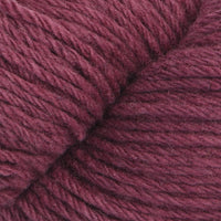 Verbena (115)