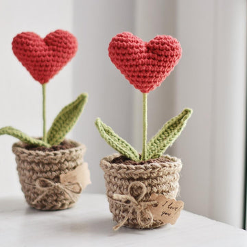 Valentine’s Day Heart Plant