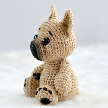 French bulldog