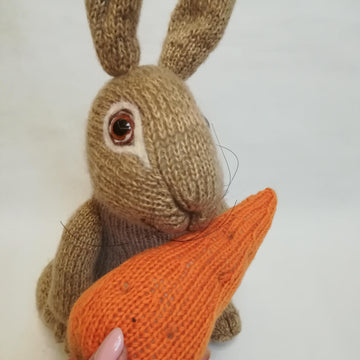 Peter Rabbit, Toy Knitting Pattern for Kids  Downloadable PDF, English
