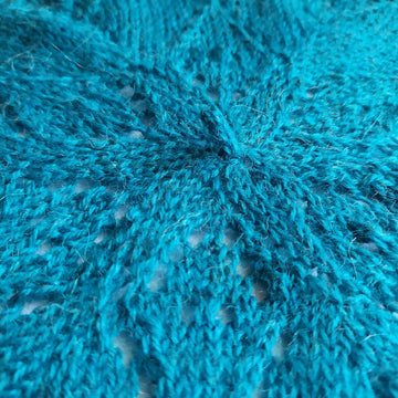 Salvia Beret