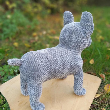 French Bulldog dog