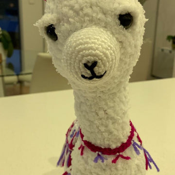 Llana the Llama