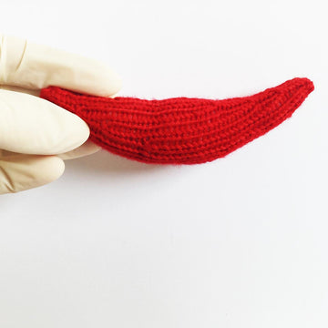 Sickle Red Blood Cell