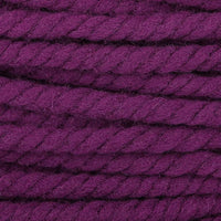 Anemone (1)