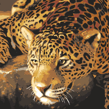 Grafitec Jaguar Prowl Tapestry Kit - 30cm x 40cm