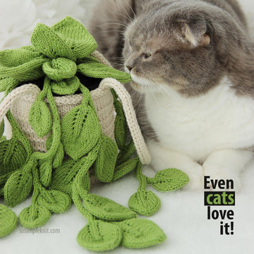 Knitted Pothos Hanging Plant