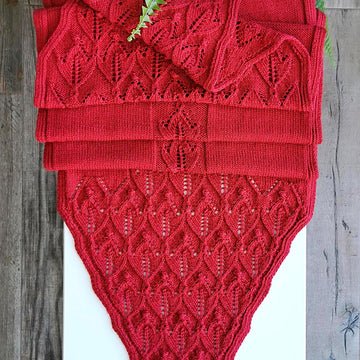 Tulipa Hollandia