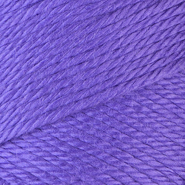Caron Simply Soft Brites