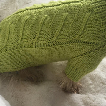 Lime Dog or Cat Sweater
