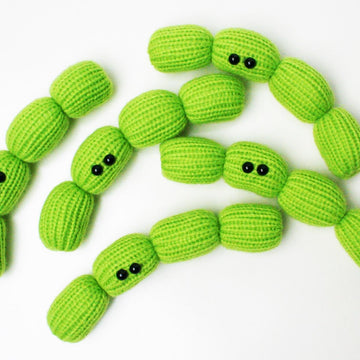 Algae Filament