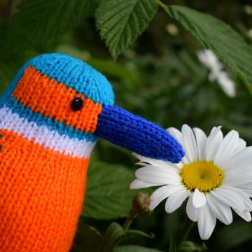 Kenneth the Kingfisher