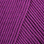 Plum (21)