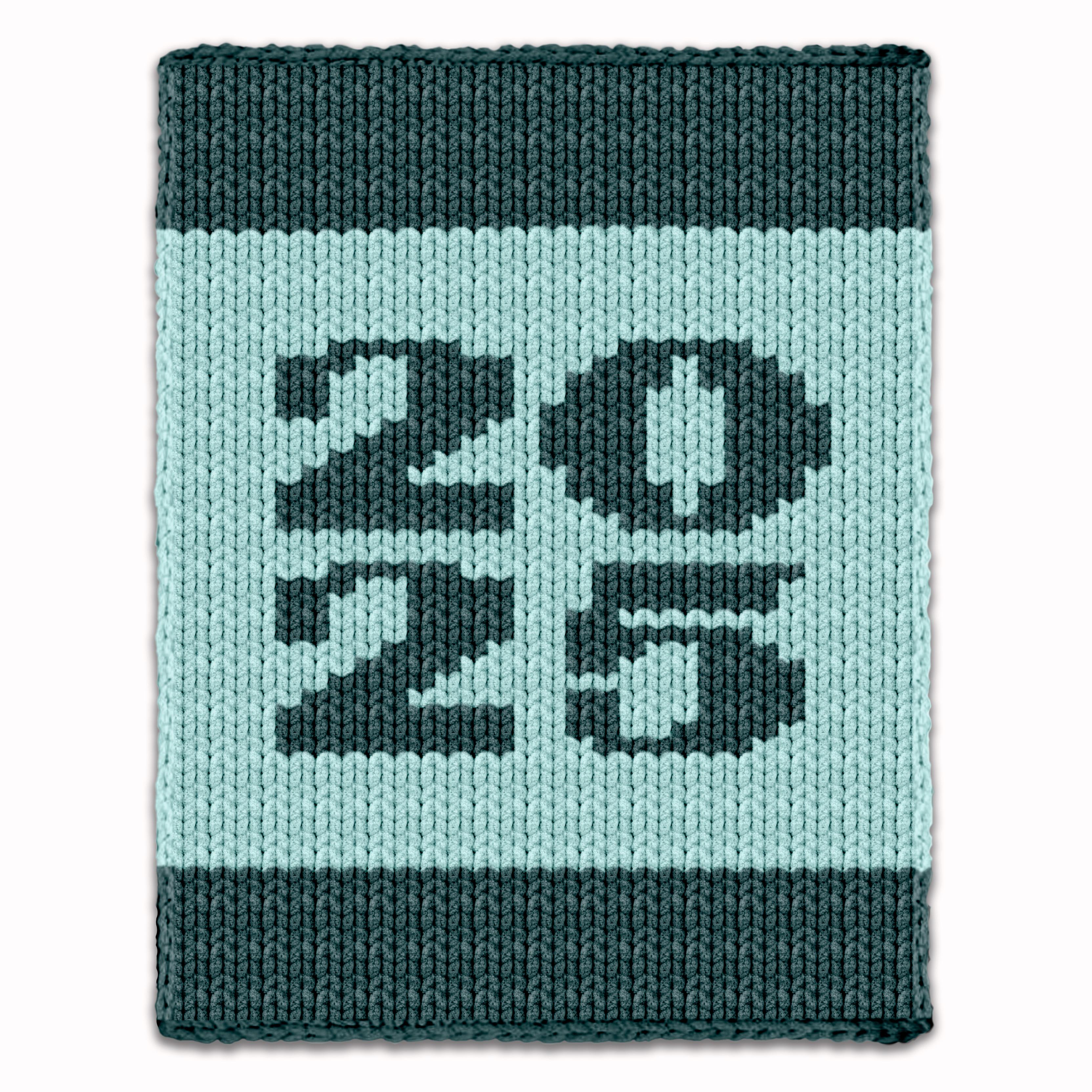 2025 Chunky Blanket - Hand Finger Knitting Pattern