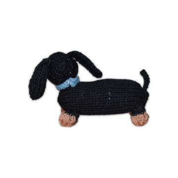 Dachshund Puppy