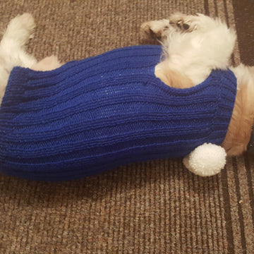Bailey's Blue Jacket