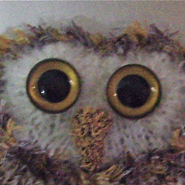 Barn Owl Tea Cosy