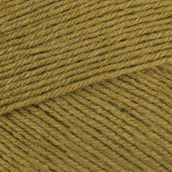 Cardamom (351)