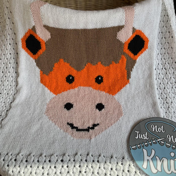 Highland Cow Baby Blanket
