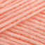 Creamsicle (133)