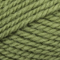 Fern (2418)
