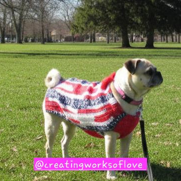 Lady's Dog Sweater