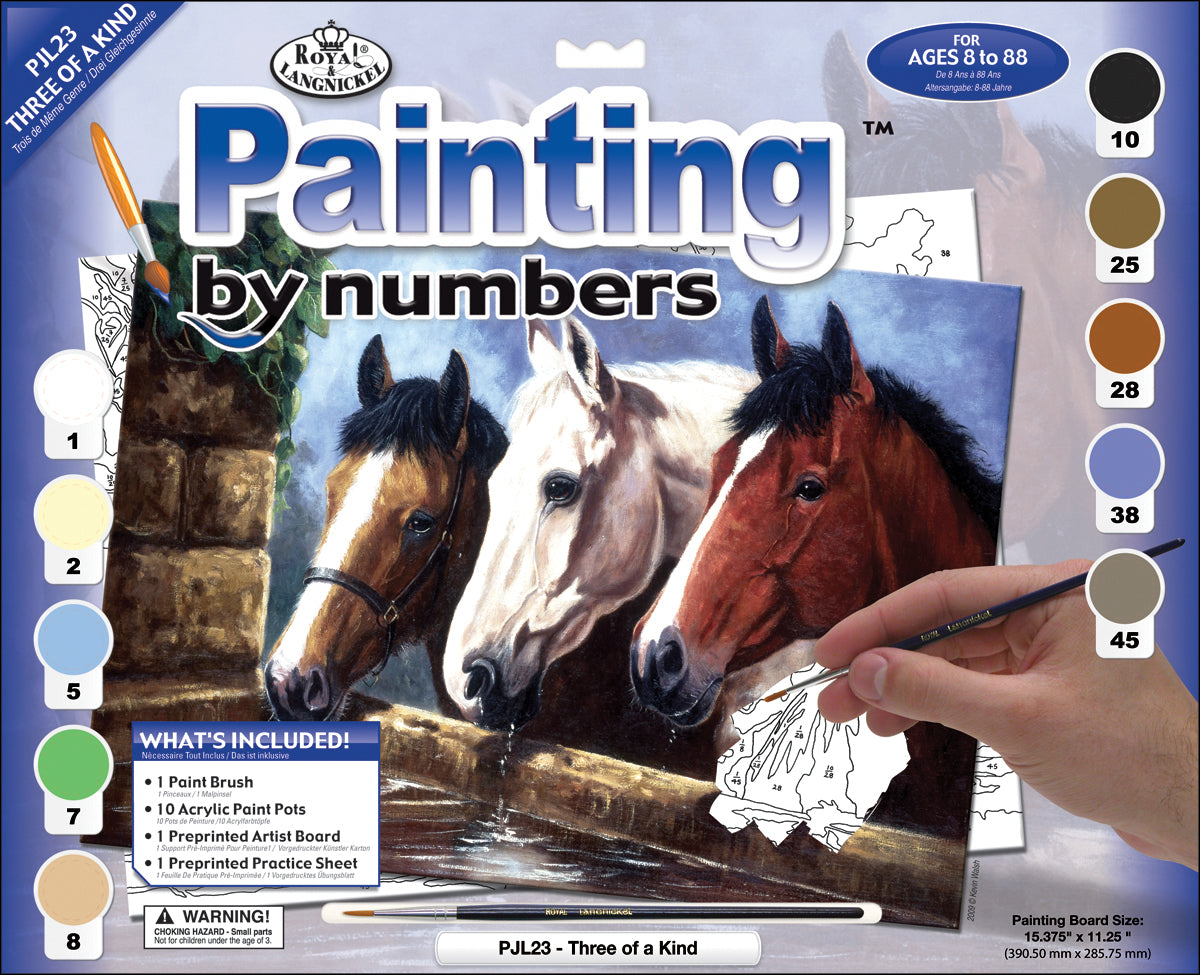 Royal Brush Junior Large Paint By Number Kit 15.25"X11.25" - 3 Of A Kind