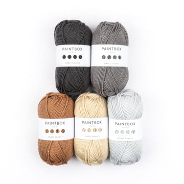 Paintbox Yarns Simply Chunky 5 Ball Color Pack