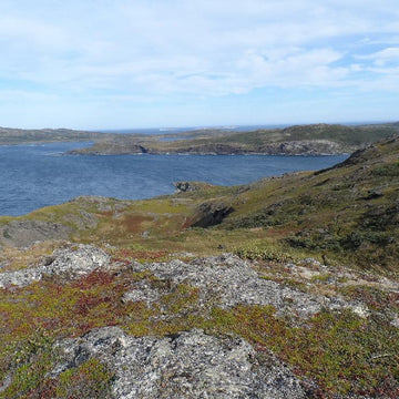 Noddy Bay