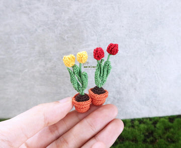 Miniature potted tulips
