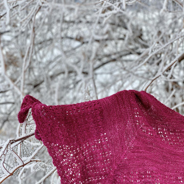 Winterberry