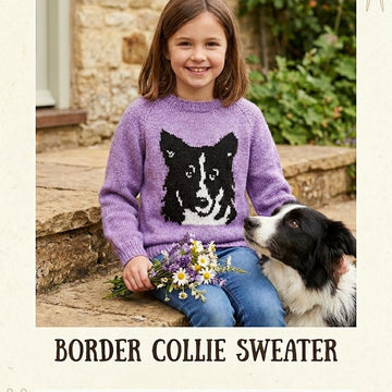 Border Collie dog sweater