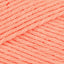 Pretty Coral (456)