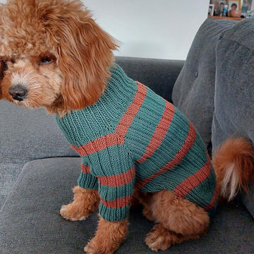 Dog Sweater Charlie No.2
