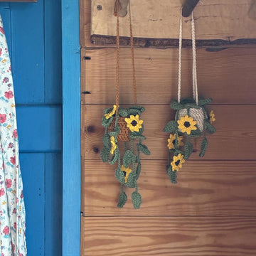 Mini Hanging Sunflower Plant