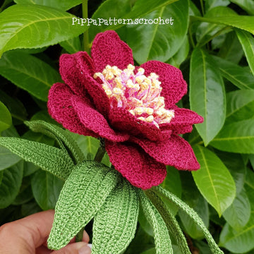 Peony Sword Dance
