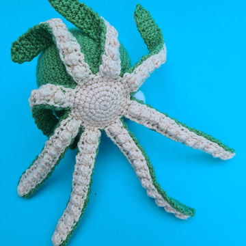 Ollie the Octopus