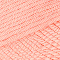Salmon (03)