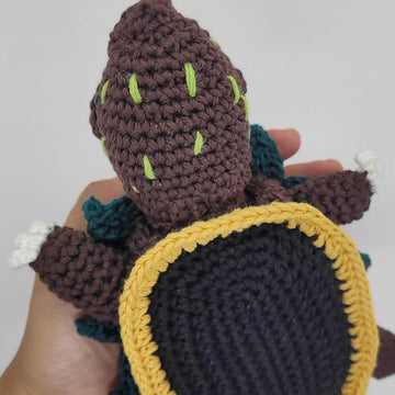 Geo the black-breasted leaf turtle