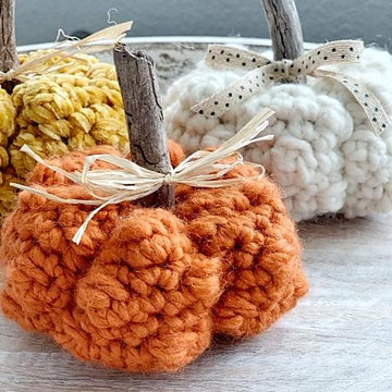 067 The Knobby Little Pumpkin