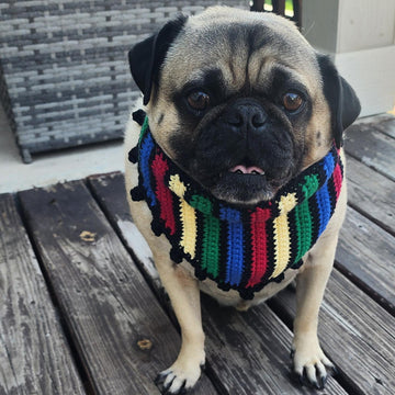 Cinco de Mayo Pet Bandana