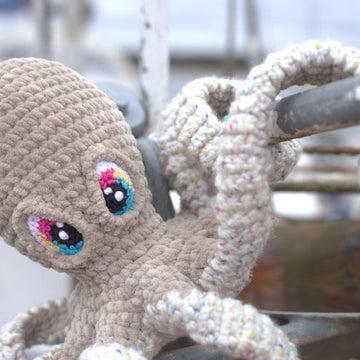 Noah the Octopus