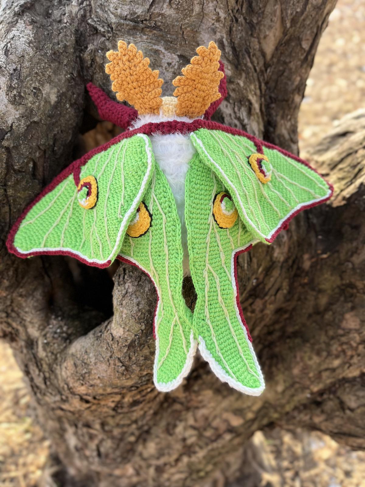 Luna Moth