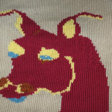 Dragon Blanket