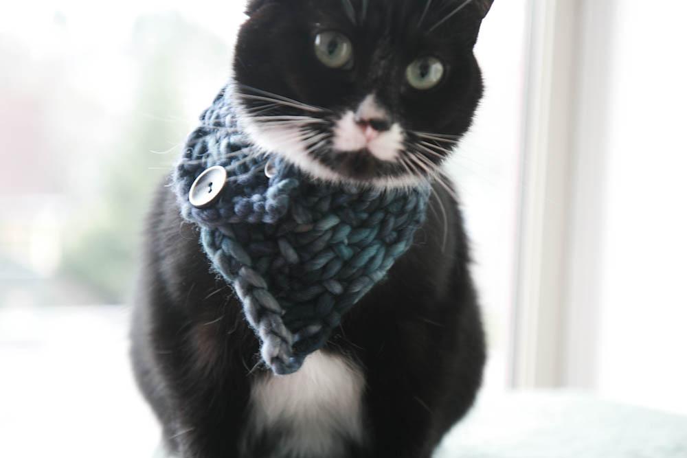 The Triangle Cowl for Tiny Creatures