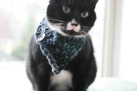 The Triangle Cowl for Tiny Creatures