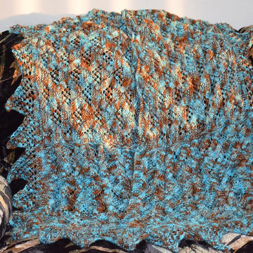 Surabhi Shawl
