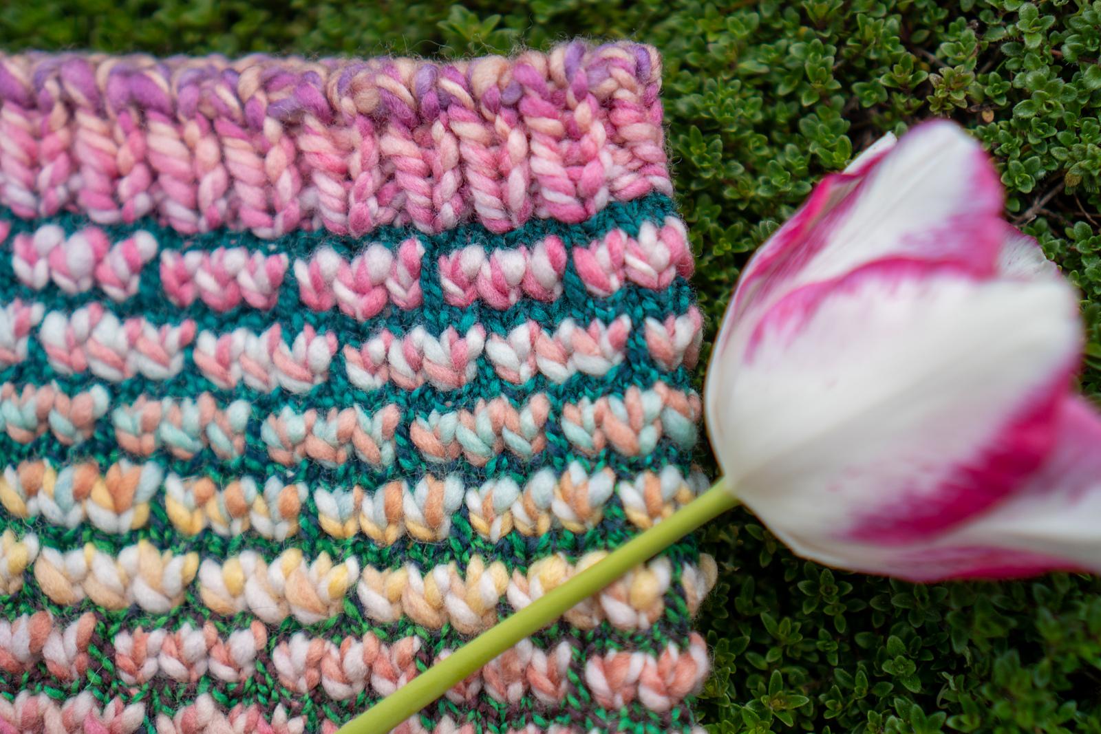 Tulip Fields Cowl