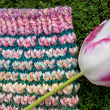 Tulip Fields Cowl