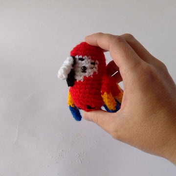 Macaw Guacamaya